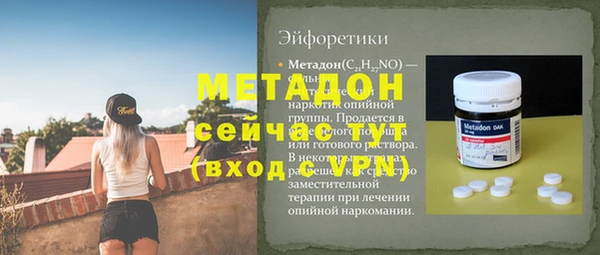 сатива Бородино