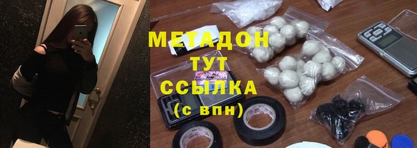 сатива Бородино