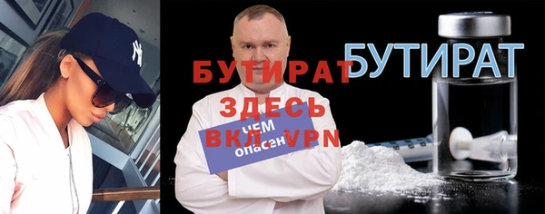 сатива Бородино