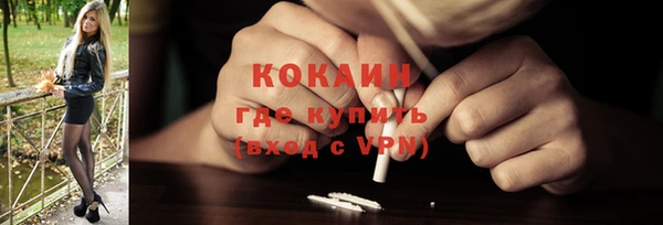 сатива Бородино