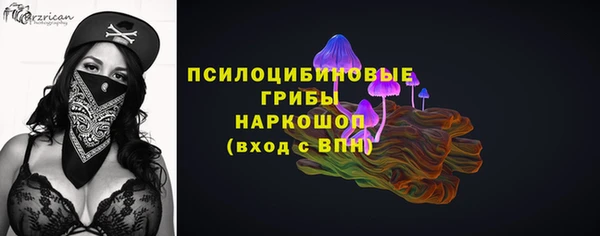 экстази Богородицк