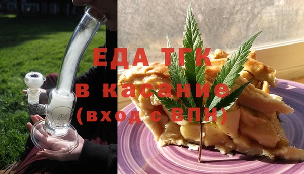 сатива Бородино