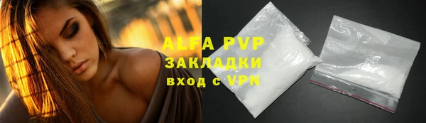 сатива Бородино