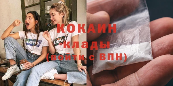 сатива Бородино