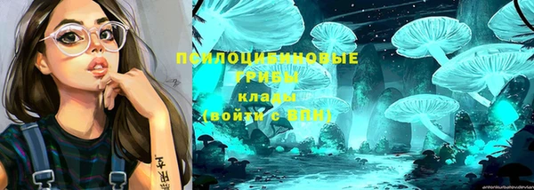 эйфоретик Бугульма