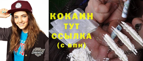 сатива Бородино