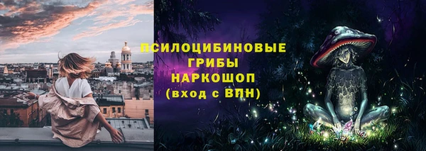 сатива Бородино