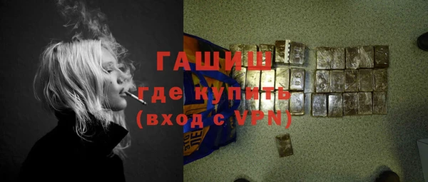 сатива Бородино