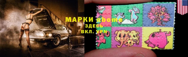 сатива Бородино